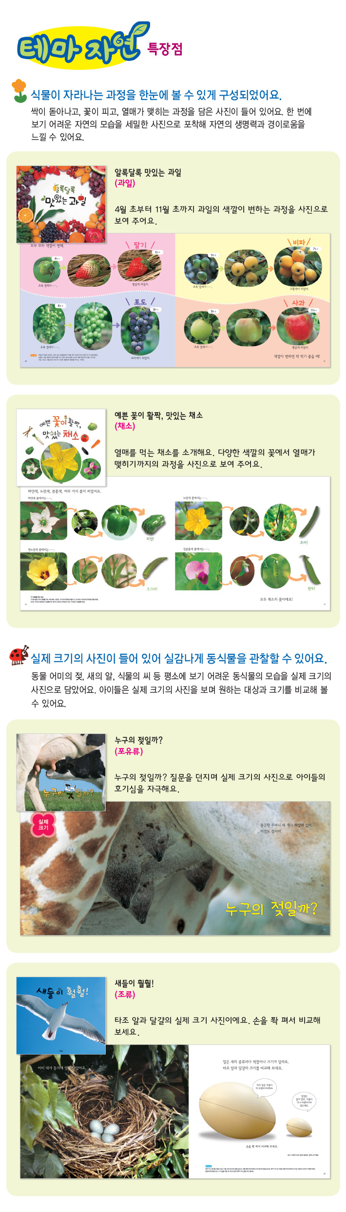 theme03.jpg